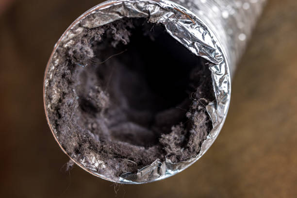 Best Air Duct Cleaning Near Me  in Corcoran, CA